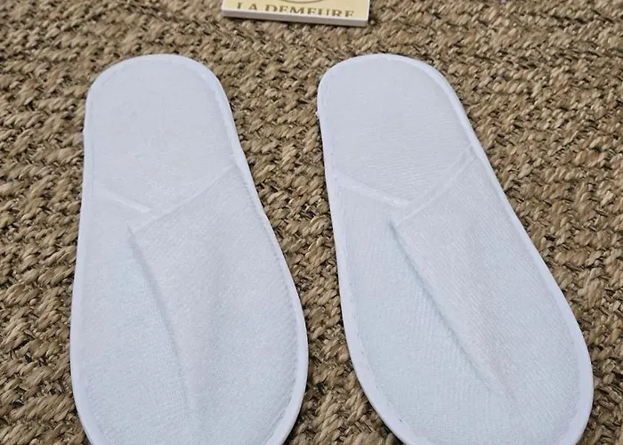 Appartement La Demeure Du Soleil T2 Cosy, Clim,wifi, Castillet 15 Min, Parking Facile Perpignan